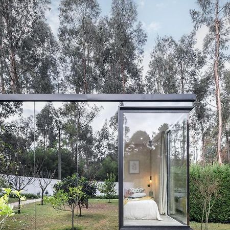 Villa No Jardim Dos Aromas Gião Extérieur photo